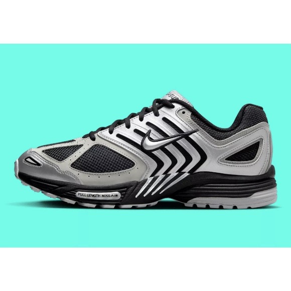 Nike Air Pegasus 2005 Metallic Silver Flat Platinum Black HQ5403-001 Mens 14